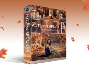 Autumn Sensation